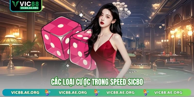 Các loại cược trong Speed Sicbo