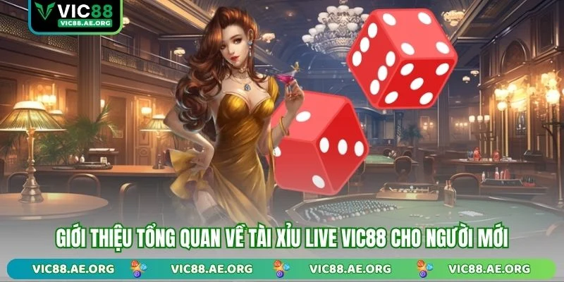 Giới thiệu tổng quan về Tài Xỉu Live VIC88 cho người mới