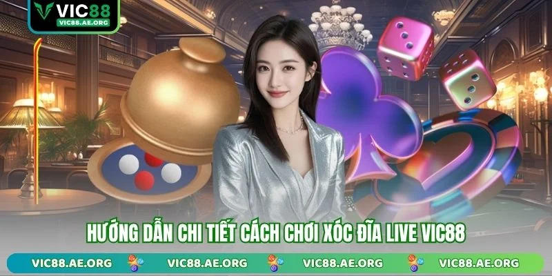 Hướng dẫn chi tiết cách chơi Xóc Đĩa Live VIC88