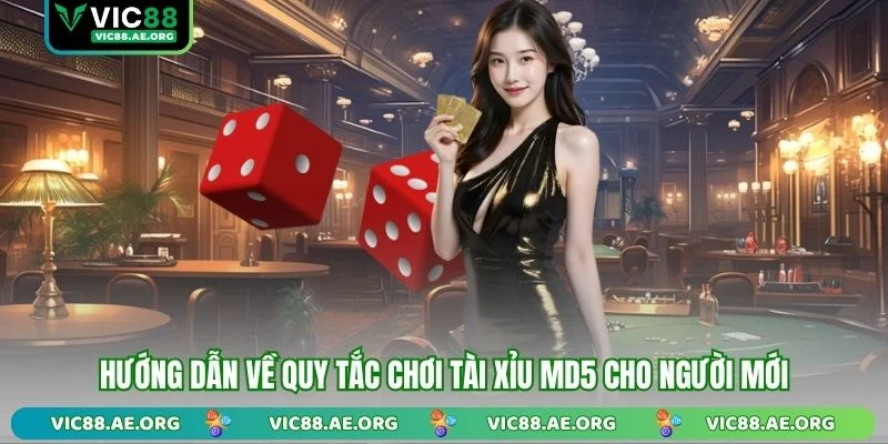 Hướng dẫn về quy tắc chơi Tài Xỉu MD5 cho người mới