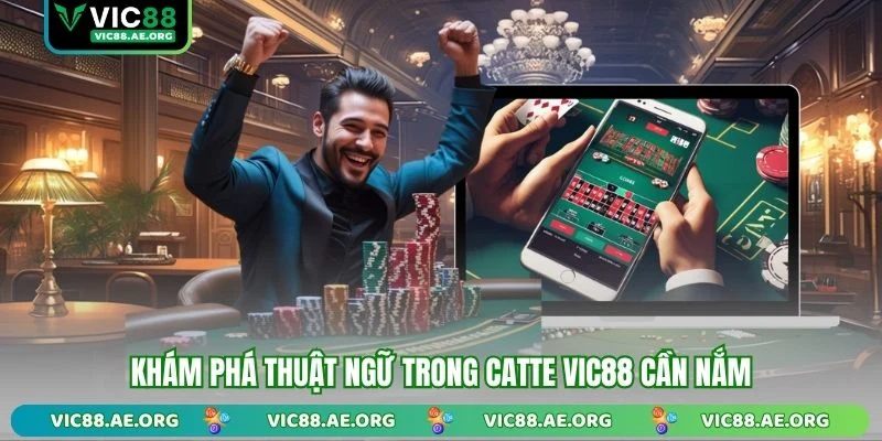 Khám phá thuật ngữ trong Catte VIC88 cần nắm