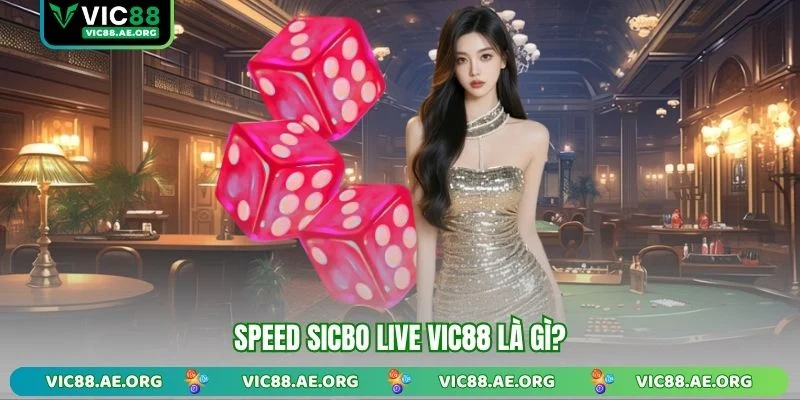 Speed Sicbo Live VIC88 là gì?