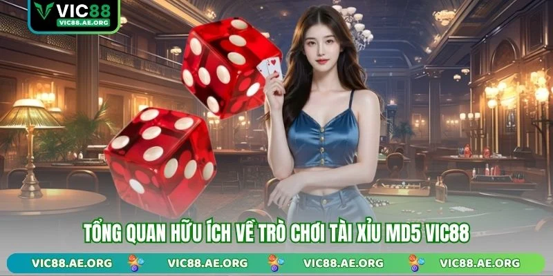 Tổng quan hữu ích về trò chơi Tài Xỉu MD5 VIC88
